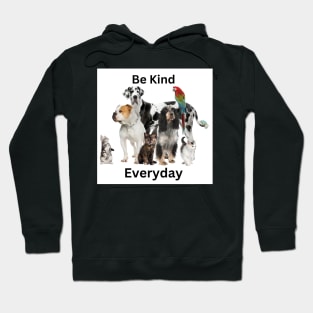 Be Kind Everyday Hoodie